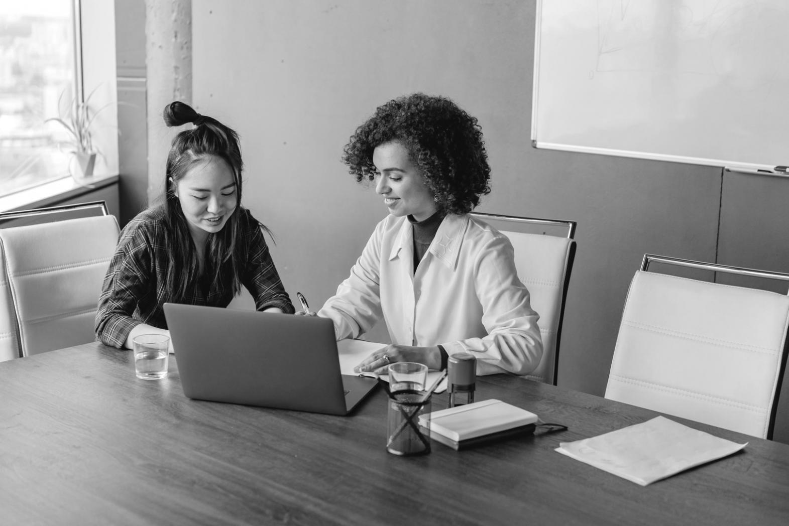 Professional consultation setup